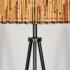 Cando floor lamp Ecru, black, 1-light source