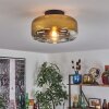 Boza ceiling light gold, clear, 1-light source