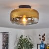 Boza ceiling light gold, clear, 1-light source