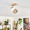 Fallhagen ceiling light Ecru, 1-light source