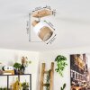 Fallhagen ceiling light Ecru, 1-light source