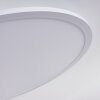 Sani Ceiling Light LED white, 1-light source, Remote control