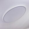 Sani Ceiling Light LED white, 1-light source, Remote control