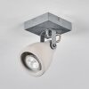 Lomma ceiling light, ceiling spotlight brushed steel, 1-light source