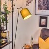 Nobar floor lamp, Reading light green, 1-light source