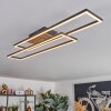 Macos ceiling light, ceiling spotlight LED brown, Wood like finish, black, 1-light source