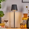 Salgadinho table lamp LED black, 1-light source