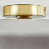 Boza ceiling light brass, 1-light source