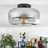 Boza ceiling light clear, Smoke-coloured, 1-light source