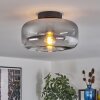 Boza ceiling light clear, Smoke-coloured, 1-light source