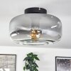 Boza ceiling light clear, Smoke-coloured, 1-light source