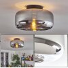 Boza ceiling light Smoke-coloured, 1-light source