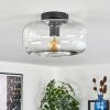 Boza ceiling light clear, 1-light source