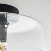 Boza ceiling light clear, 1-light source