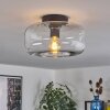 Boza ceiling light clear, 1-light source