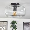 Boza ceiling light clear, 1-light source