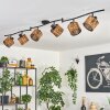 Cando ceiling light black, 6-light sources