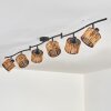 Cando ceiling light black, 6-light sources