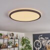 Endrup ceiling light LED black, 1-light source