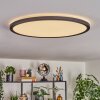 Endrup ceiling light LED black, 1-light source