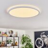 Endrup ceiling light LED white, 1-light source