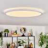 Endrup ceiling light LED white, 1-light source