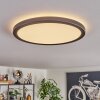 Endrup ceiling light LED black, 1-light source