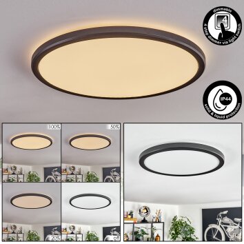 Endrup ceiling light LED black, 1-light source