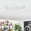 Endrup ceiling light LED white, 1-light source