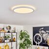 Endrup ceiling light LED white, 1-light source