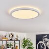 Endrup ceiling light LED white, 1-light source