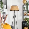 Ramila floor lamp Ecru, black, 1-light source