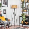 Ramila floor lamp Ecru, black, 1-light source