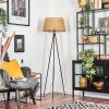 Barcos floor lamp beige, Ecru, 1-light source