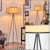 Chellas floor lamp beige, black, 1-light source