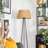 Barcos floor lamp beige, 1-light source