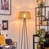 Barcos floor lamp beige, 1-light source