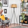 Ramila floor lamp Ecru, black, 1-light source