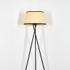 Chellas floor lamp beige, black, 1-light source