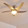 Ceiling Fan Morino matt nickel, silver, 2-light sources, Remote control