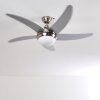 Ceiling Fan Morino matt nickel, silver, 2-light sources, Remote control