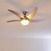 Ceiling Fan Morino matt nickel, silver, 2-light sources, Remote control