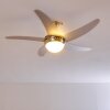 Ceiling Fan Morino matt nickel, silver, 2-light sources, Remote control