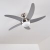 Ceiling Fan Morino matt nickel, silver, 2-light sources, Remote control