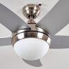 Ceiling Fan Morino matt nickel, silver, 2-light sources, Remote control