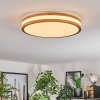 Sofo ceiling light LED white, 1-light source, Remote control