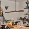 Carbellino pendant light LED dark brown, black, 1-light source