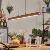 Carbellino pendant light LED dark brown, black, 1-light source