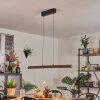 Carbellino pendant light LED dark brown, black, 1-light source