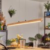 Carbellino pendant light LED Ecru, black, 1-light source